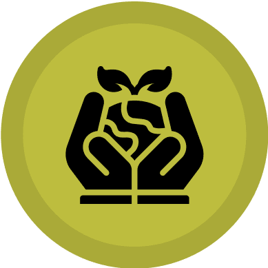 Hands holding earth with sprout icon.